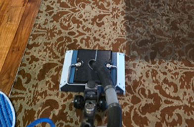 San Antonio fl Carpet Cleaning